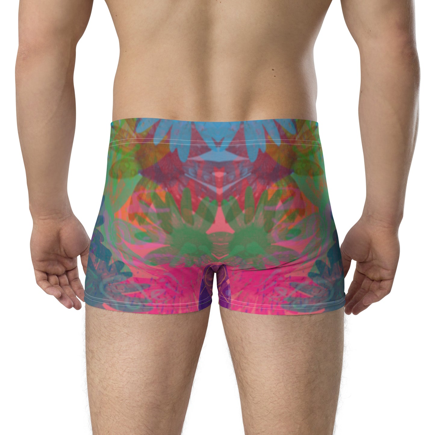 Boxer "Sun"