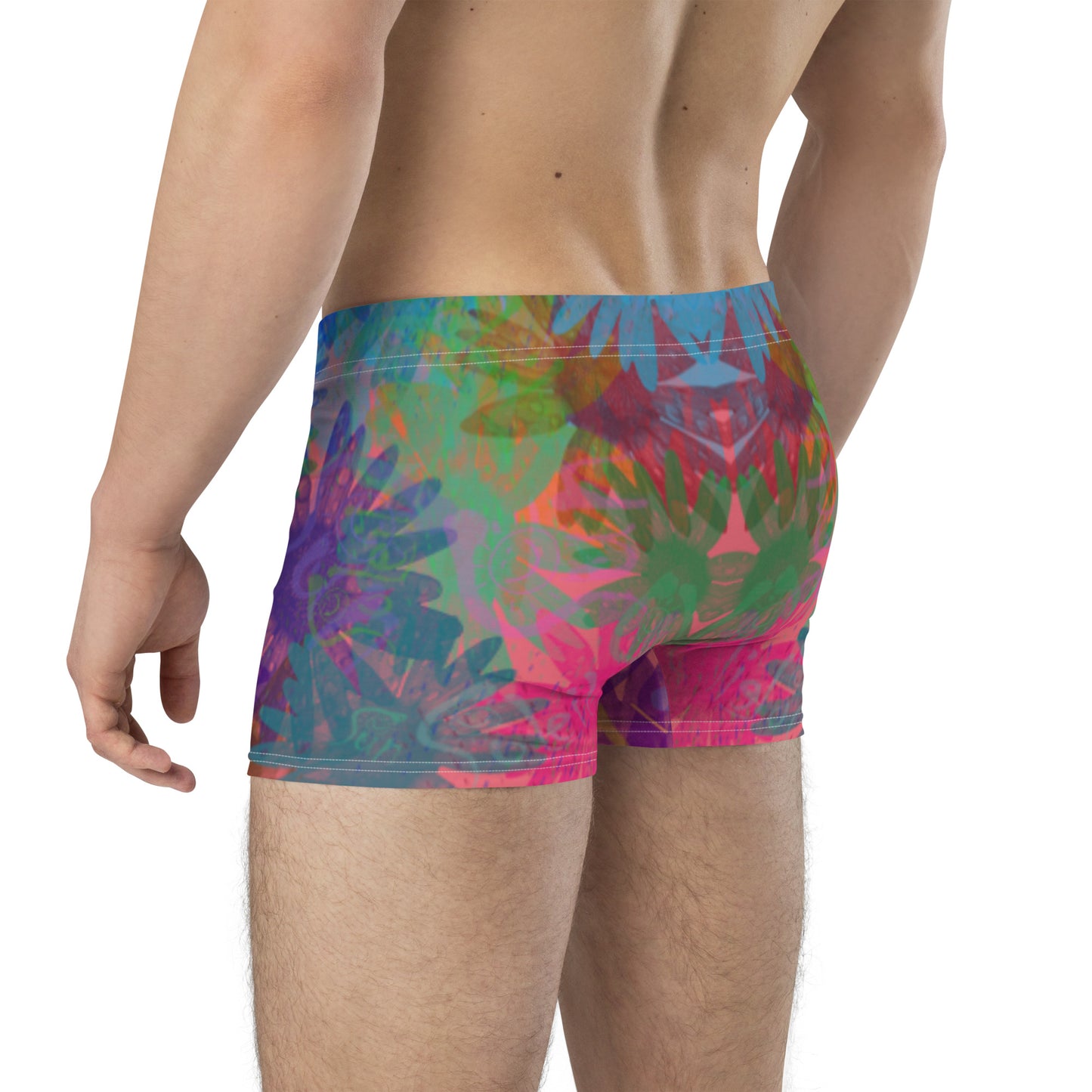 Boxer "Sun"