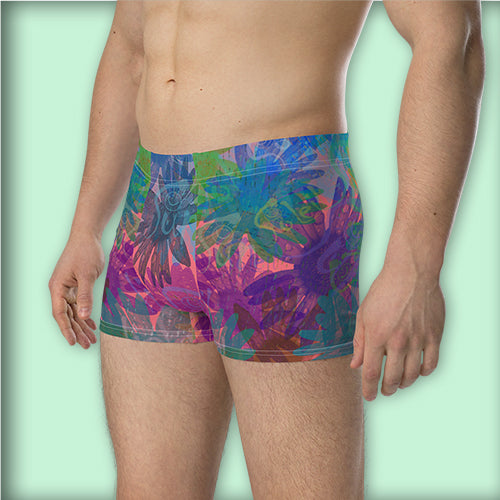 Boxer "Sun"