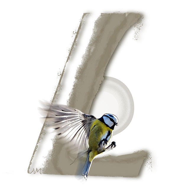 Logo d'un design de LEFEVRE photographe